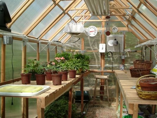 Inside a Greenhouse