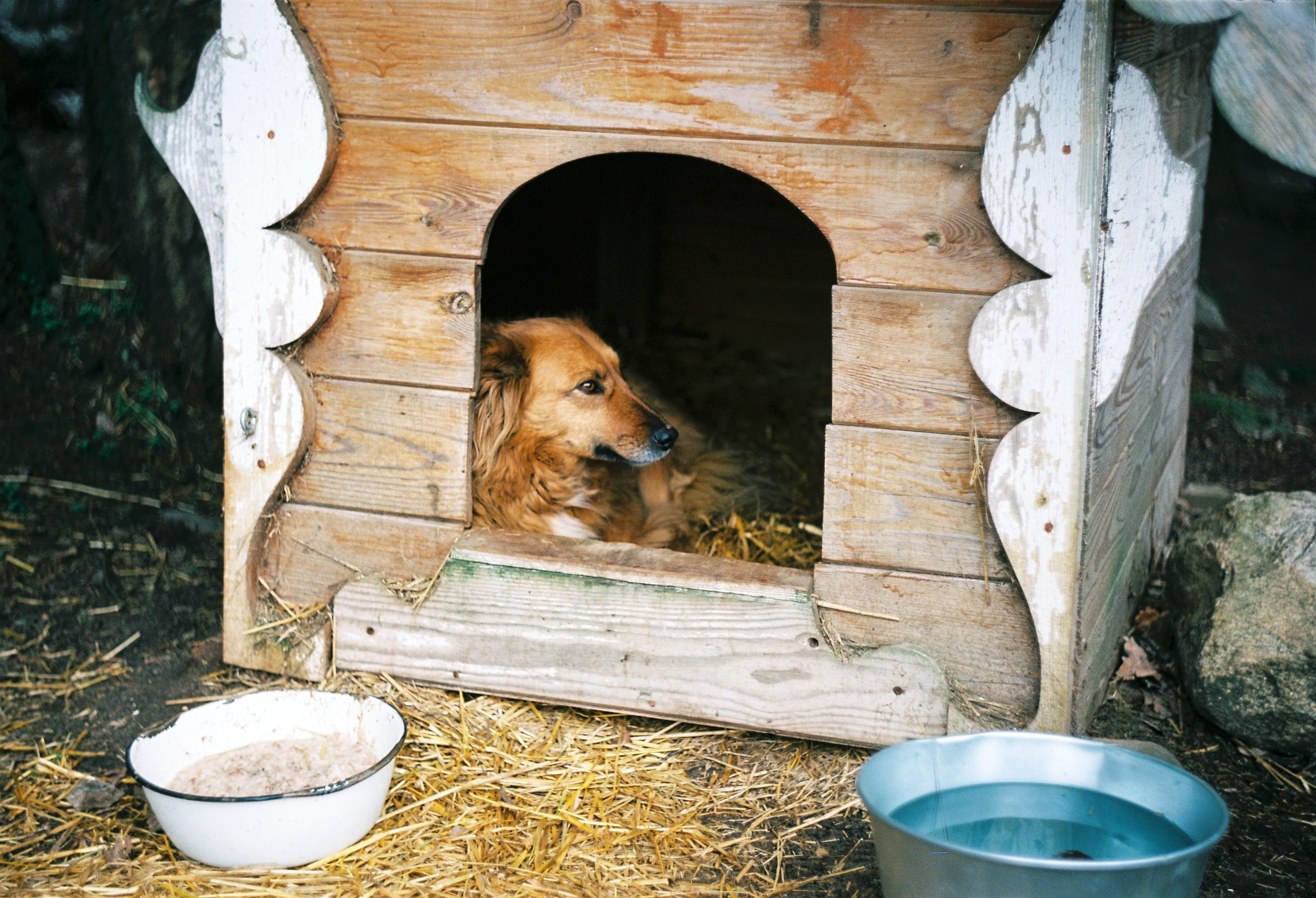 Outdoor Doghouse