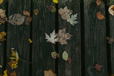 Decking cover in winter leaves 