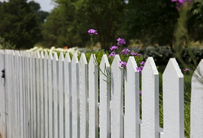 Smaller Garden Sized Fencing